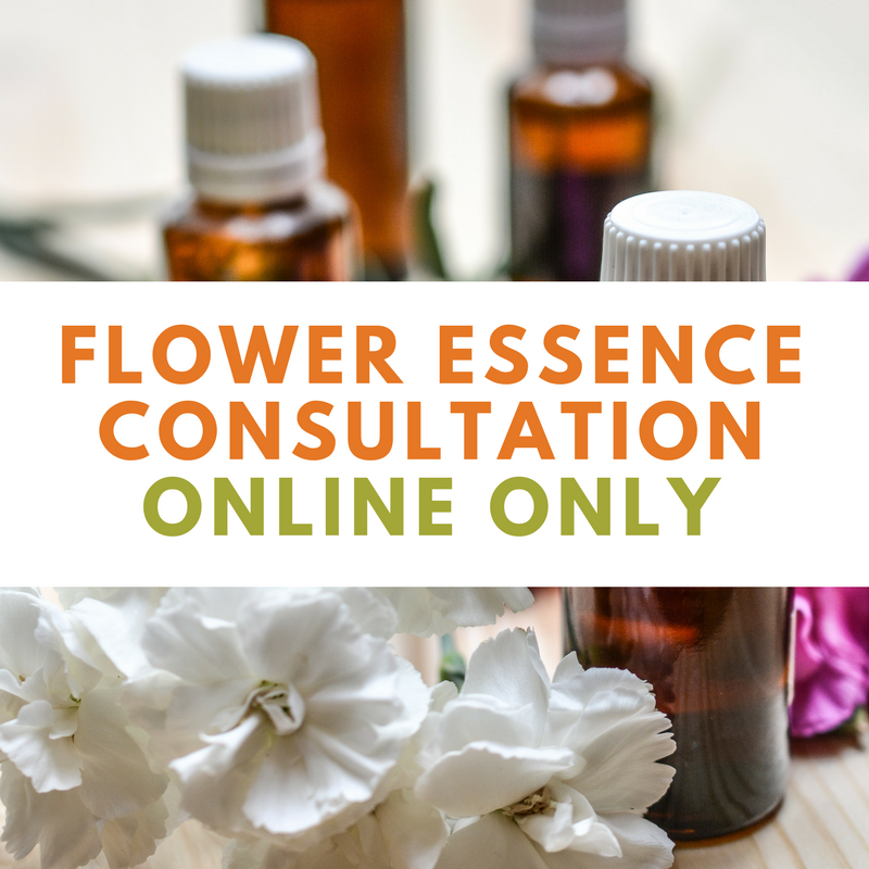 Flower Essence Consultation Online Only