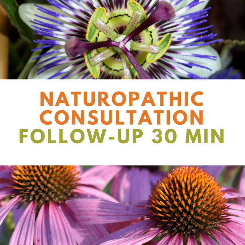 Naturopathic Consultation Follow-Up 30min | Wellness Path