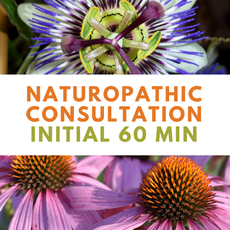 Naturopathic Initial Consultation 60min | Wellness Path